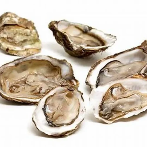 [Frozen] Half Shell Oysters (12Pcs)