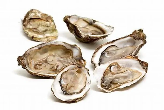[Frozen] Half Shell Oysters (12Pcs)