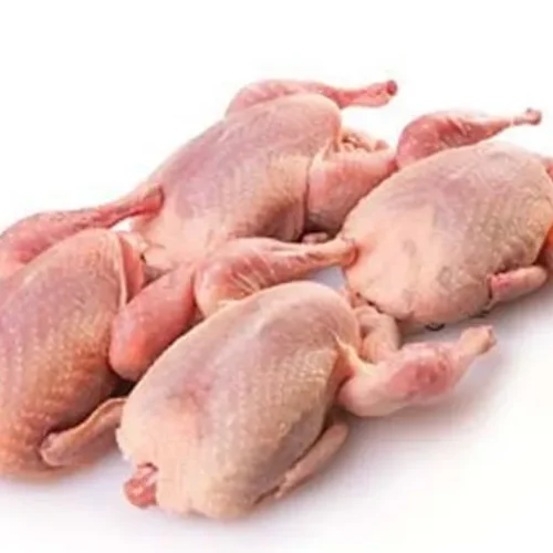 Frozen Burung Puyuh 1kg