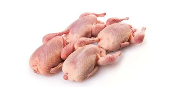 Frozen Daging Burung Puyuh AA