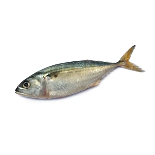 [Frozen] Mackerel 2/4 (1kg)