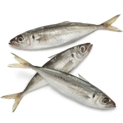 [Frozen] Black Sardines 8/10 (1kg)