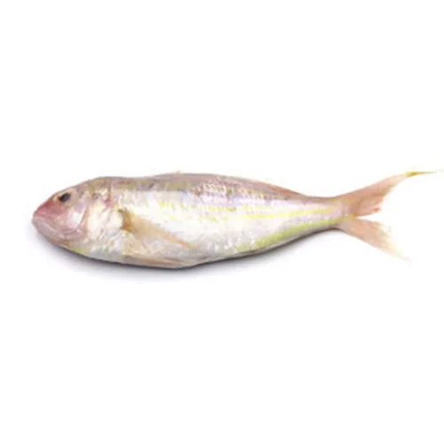 [Frozen] Kerisi Fish 6/8 (1kg)