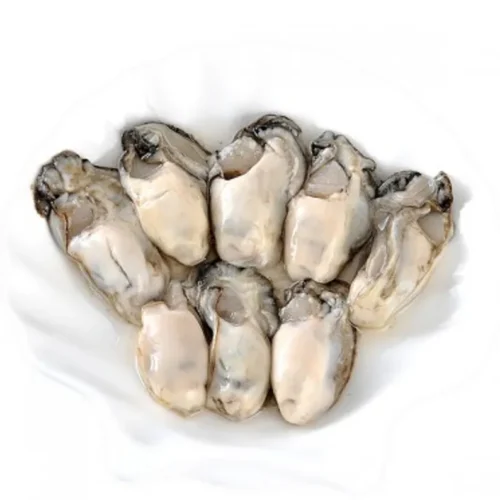 [Frozen] Oyster Meat (Pack)