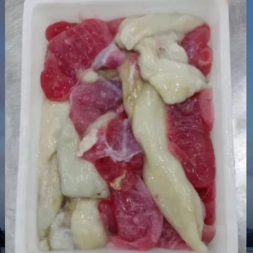 [Frozen] Cuttlefish Eggs (Pack)