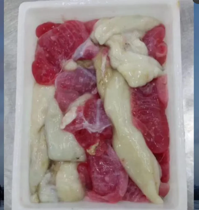 [Frozen] Cuttlefish Eggs (Pack)