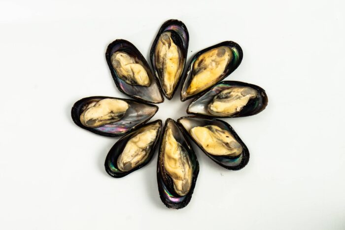 Frozen Premium Black Mussel