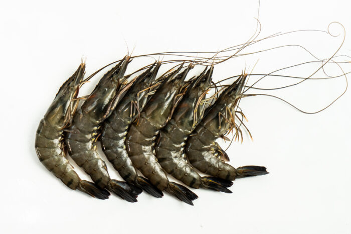 Fresh Tiger Prawn