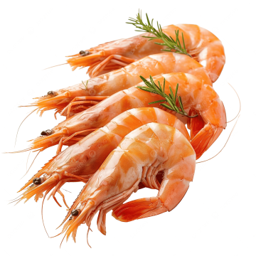 Prawns & Shrimps