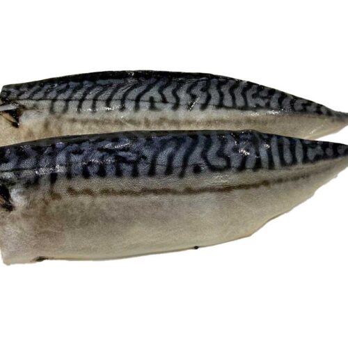 Saba Mackerel