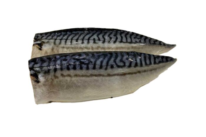 Saba Mackerel