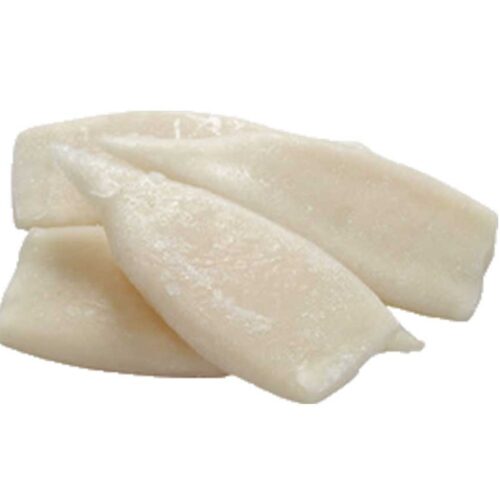 Sotong Tube