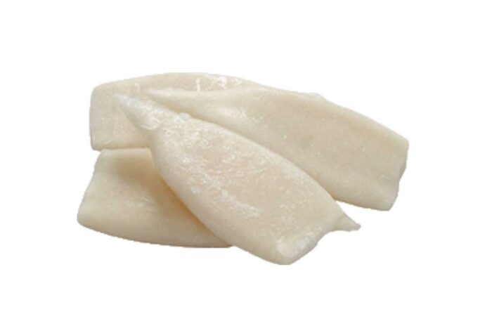 Sotong Tube