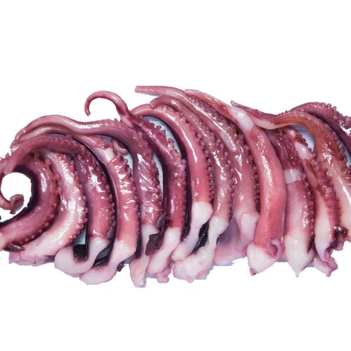 Squid Tentacles