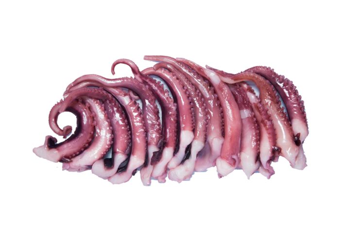 Squid Tentacles